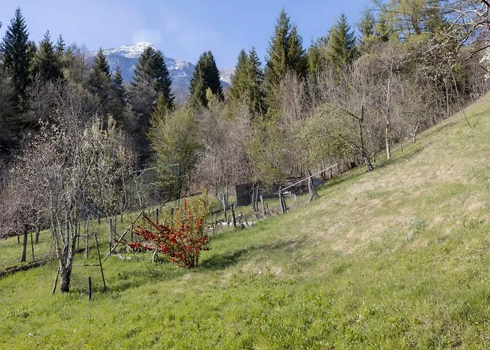 Apartma Hci Planin * בובק